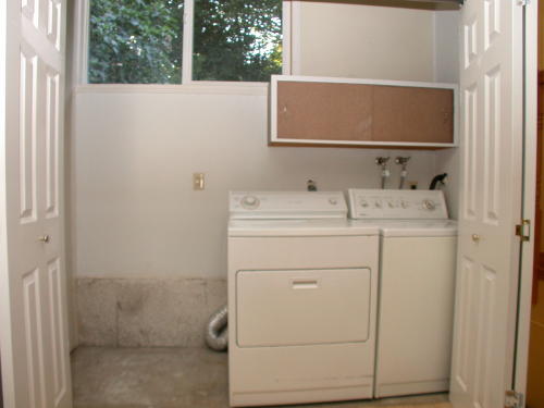 Lower level fireplace